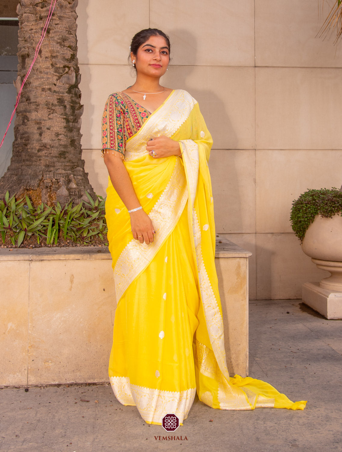 Chiffon-Georgette Sarees